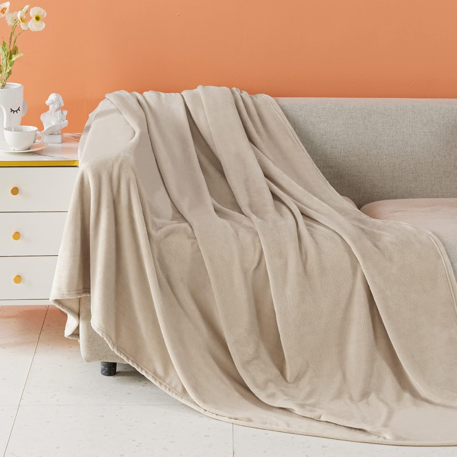 Fleece Blanket Queen Size Super Soft Flannel Throw Blanket Lightweight Fuzzy Plush Blanket for Couch Sofa or Bed All Seasons (Ivory, 90" x 90")